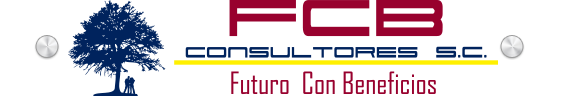 FCB Consultores Logo
